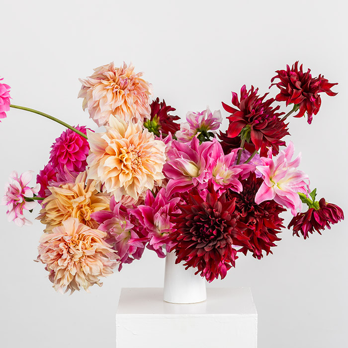 Kochi agri flower
