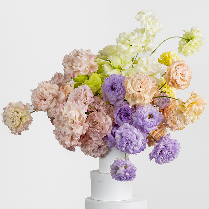 Kochi agri flower