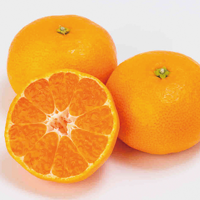 Kochi agri fruits and vegetable
