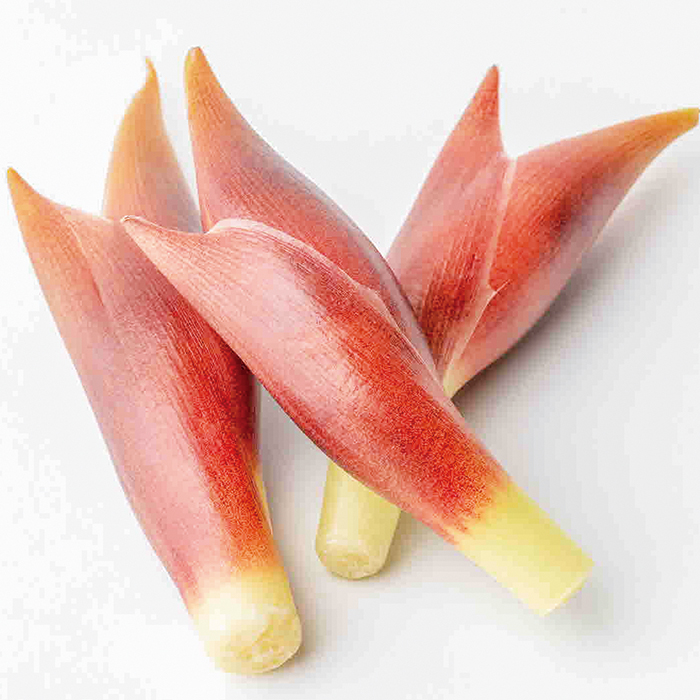 Kochi agri fruits and vegetable