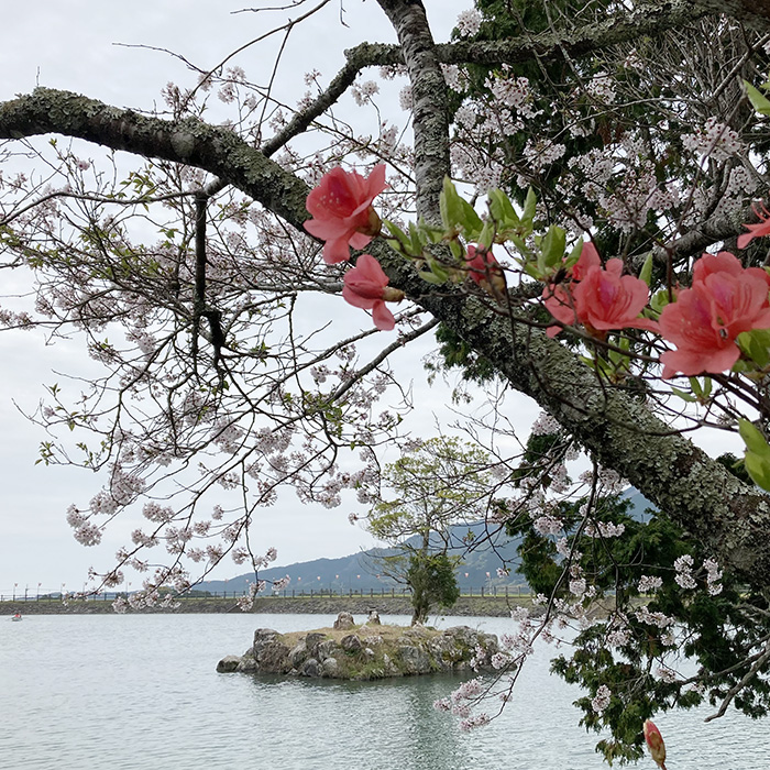 安芸市 内原野公園