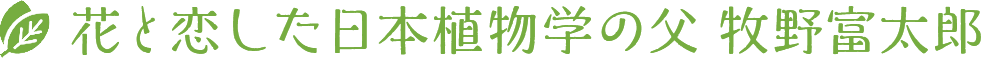 花と恋した日本植物学の父 牧野富太郎
